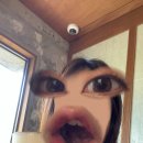 부원목장 이미지