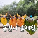 수지생태공원 | 용인시 숲체험 가족사랑 나눔의 숲 수지생태공원 처음 참여해본 후기