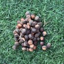 검단로747 제일프라자 앞 | 2025년 12월 조각일상