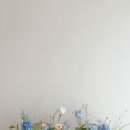 마음을 담다 이미지