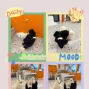 애견천국 이미지