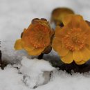 민속한의원 이미지