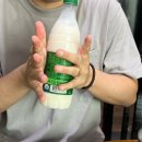 [중구/동묘] 6월 주말 동묘 데이트 후기(동심문구센터, 승진완구, 동묘구제시장) | 어머니대성집