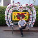 장미꽃길 2 이미지