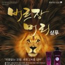 버르장머리헤어 - 마포구 효창원로95길 4 | 버르장머리헤어