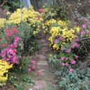 매일2농장 이미지