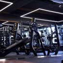 피트니스 액티브 이미지