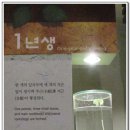 인삼박물관 이미지