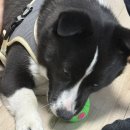 화원농장 | 대구 화원자연휴양림 | 가성비, 힐링 모두 챙기는 통나무집 숙소 내돈내산 숙박 후기!