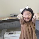 정하도예