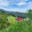 클럽디거창 | 경남골프장 클럽디거창CC 1박2일골프패키지 정보 라운딩후기