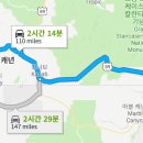 달밤고래 이미지