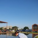 풀향기 궁중칼국수 손만두전골 이미지