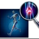 아카데미 체육관 이미지