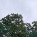 파인빌 | 서울근교 파3 골프장 파주 파인빌파3 내돈내산 후기