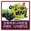 엠엠에프