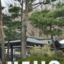 양평벚꽃하우스 | 양평 가볼만한곳 서울 근교 양평 카페 하우스베이커리