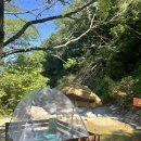 대구 동산계곡 / 동산계곡식당⛰️ 방문 후기(평상대여+파라솔포함,가격,예약정보)/24.8.14.방문⛱️