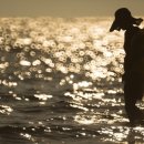 울산미즈병원 이미지