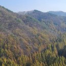 장태산휴양림 이미지