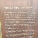 남호해수욕장 네이버블로그