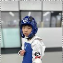 품 태권도장 이미지