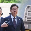 이재명 공직선거법 상고심, 상고기각일 수밖에,,, 이미지