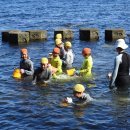 제비초등학교 이미지