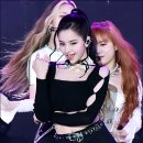 마이하비