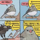 윤슬스토리 이미지