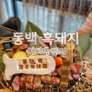 맛돈이대구막창 | 군위맛집 동백 흑돼지 난축맛돈 전문점 화본역맛집