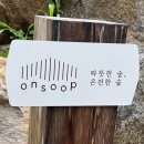 온숲 | 경기도 양평 프라이빗 숲속 별장 풀빌라 &lt;온 숲&gt; 내돈내산 방문 후기