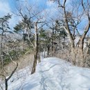 2025.1.25 오대산 비로봉 (제308차 정기산행) 이미지