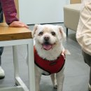 계양메디칼센터 이미지