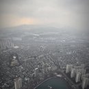 숲프로 이미지