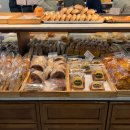 바게뜨베이커리 | 목포 씨엘비 베이커리 │ 새우바게뜨 리얼후기 │ 목포 여행 코스