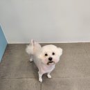 송내동3 이미지