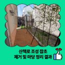 군포시새마을회관 강당 | 산책로 조성 잡초 제거 및 마당 정리 결과