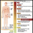 엠에스이엔지 이미지