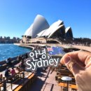 봉의농장 | [호주여행] 3월 골드코스트 + 시드니 7일 패키지 여행 리뷰- 하나투어