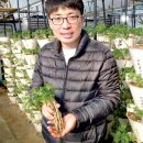 병세농장 네이버블로그