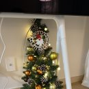 [신혼준비5] 3개월차 신혼쀼..오늘의집 미니 트리 후기🎄내돈내산 (벽 걸인데 세워버림ㅎ)