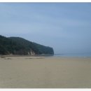 연포해수욕장(송림) 티스토리