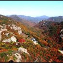 선운산 이미지