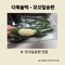다복솔떡 | 다복솔떡 - 명절송편 모싯잎송편맛집