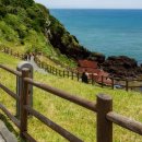 하이연세산부인과의원 이미지