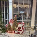 정선군 도전 | 강원도 정선 하이원리조트 그랜드테이블 석식 방문후기