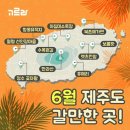 6월 제주도 갈만한곳 이미지