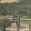 부여여인숙 - 세종특별자치시 으뜸길 199-1 | 부여여인숙