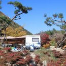 비로야영장 이미지